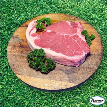Premium T-Bone Steak