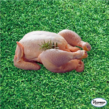 Whole Free Range Chicken
